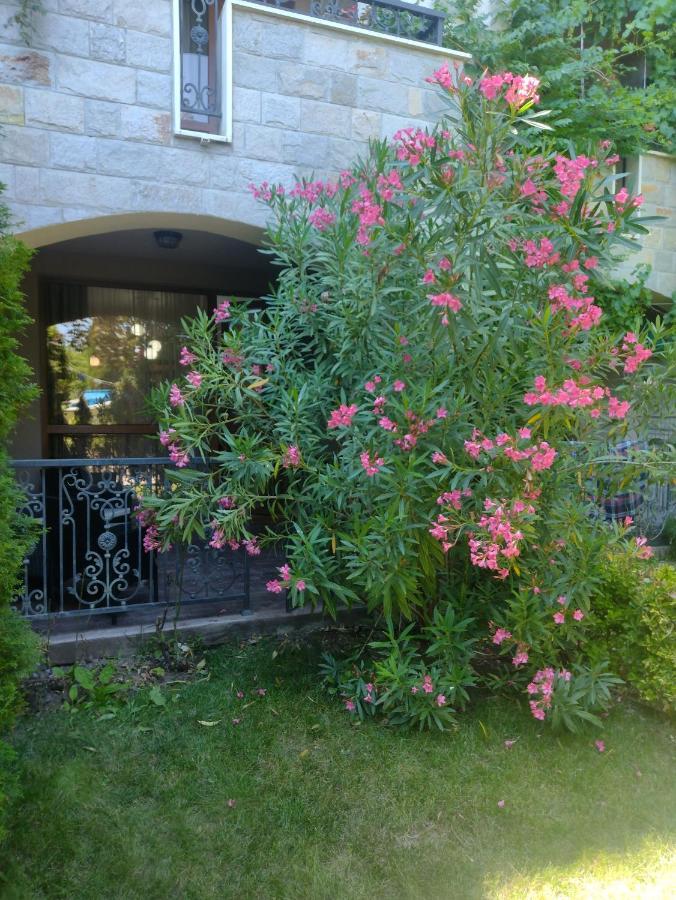 Destination Bulgaria 2000 Cascadas Private Summer Family Apartments Pantai Sunny Bagian luar foto